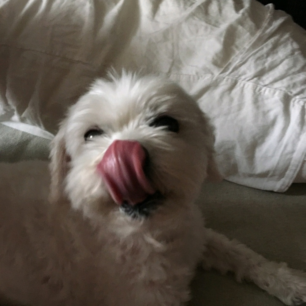 Meet your Posher, Abel